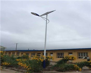 農(nóng)村太陽能路燈-甘肅定西渭源縣太陽能路燈項(xiàng)目